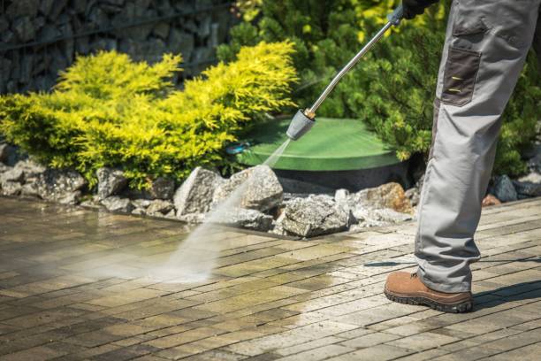 Best Gutter Cleaning  in Warsaw, VA
