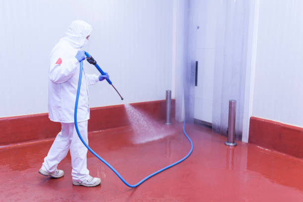 Best Paint Preparation  in Warsaw, VA